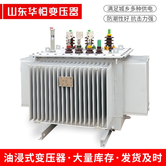 S13-10000/35洮南洮南洮南电力变压器