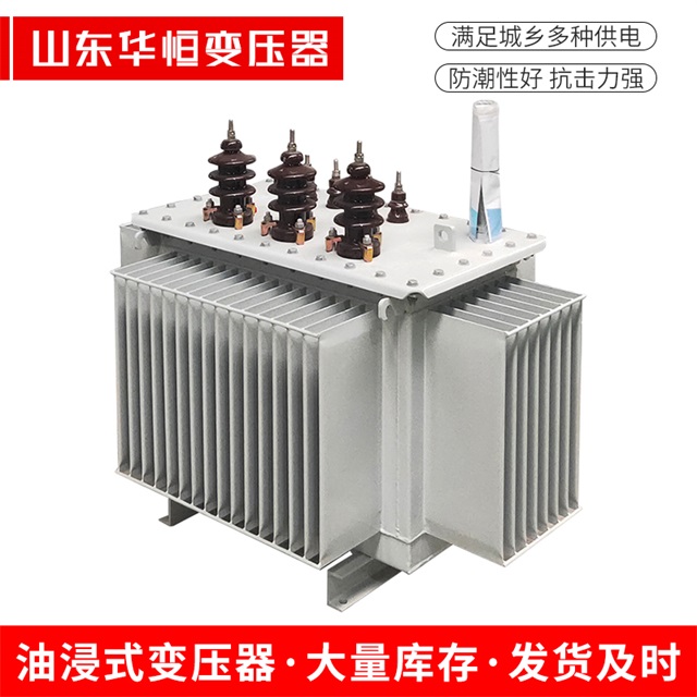S13-10000/35洮南洮南洮南油浸式变压器厂家